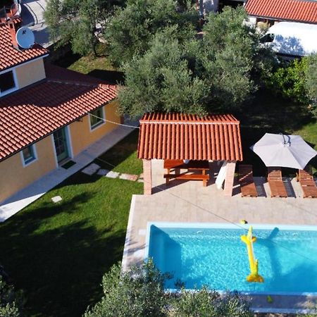Damjanic Holiday House Brtonigla Εξωτερικό φωτογραφία