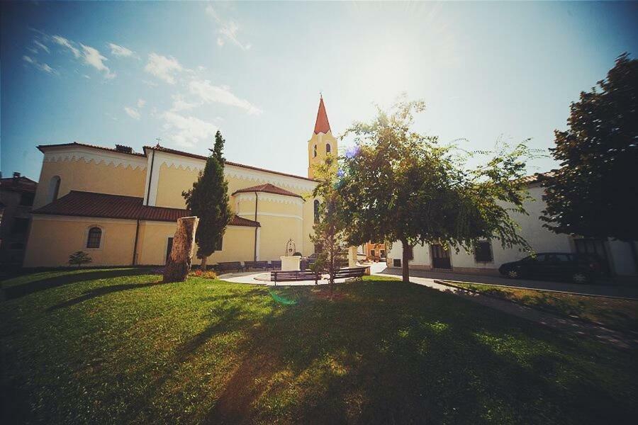 Damjanic Holiday House Brtonigla Εξωτερικό φωτογραφία