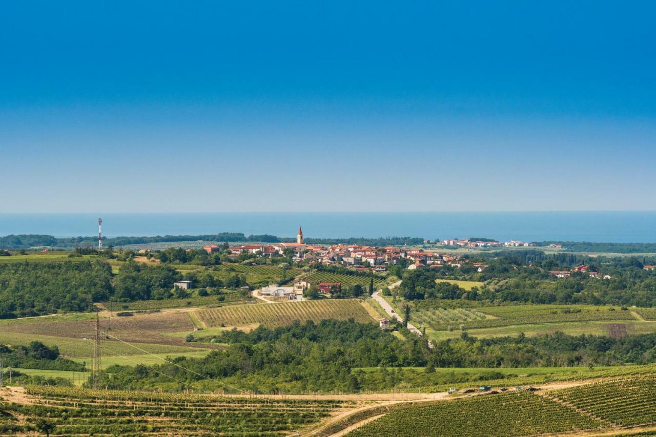 Damjanic Holiday House Brtonigla Εξωτερικό φωτογραφία